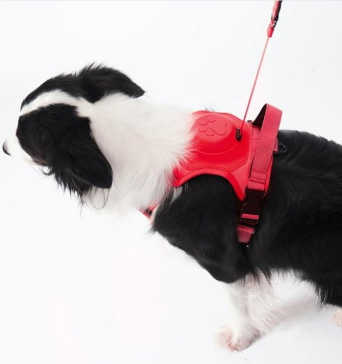 Arnés Perro Con Correa Retráctil Rojo-L