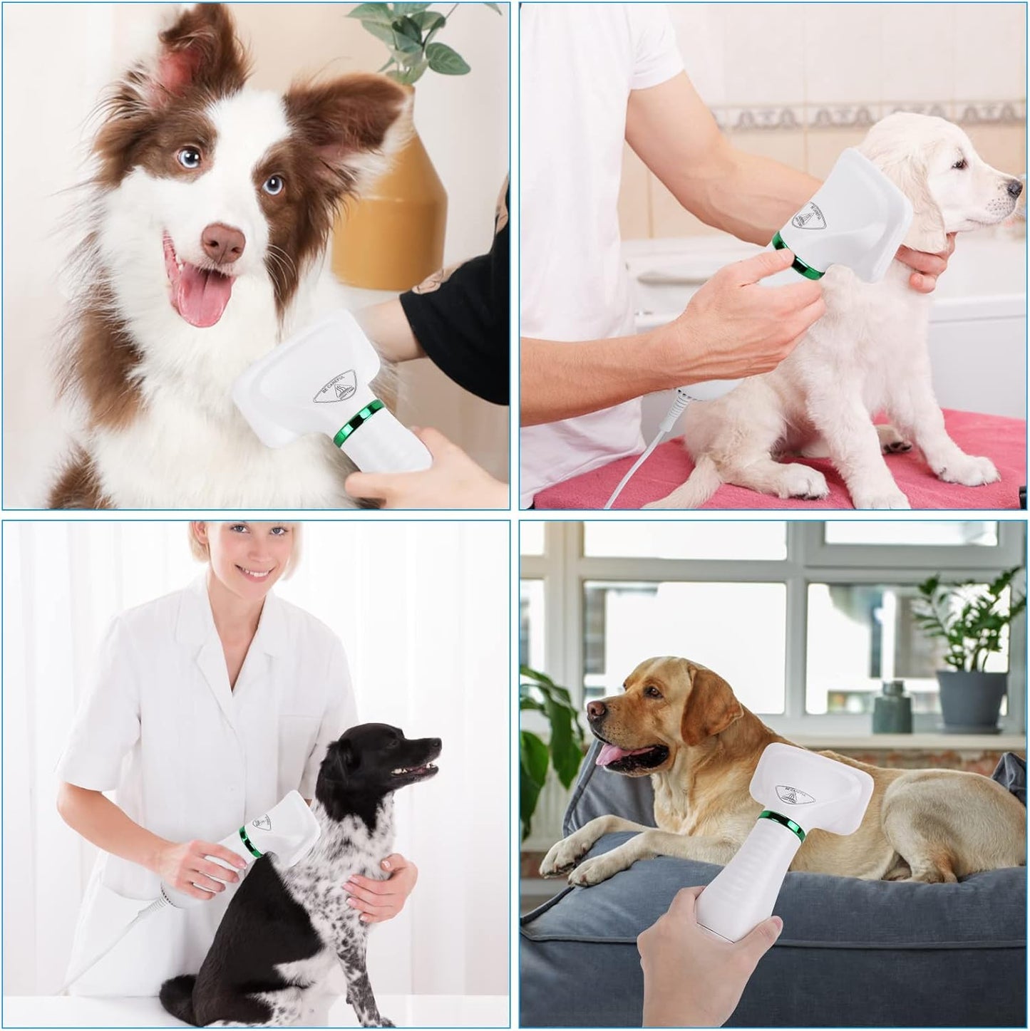 DryPet Cepillo y Secador de Pelo para Mascotas 2 en 1 - Tu mascota limpia y relajada en un solo paso